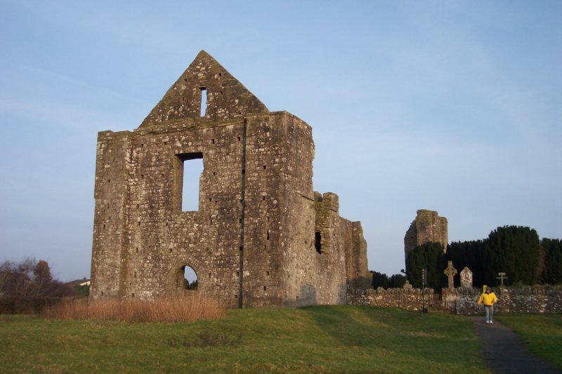 abbeytrim.jpg