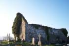 corcomroeabbey3_small.jpg