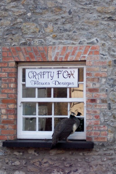 peahenatmalahidecraftshop.jpg