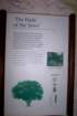 signthefieldoftheyews_small.jpg