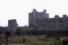 trimcastle2_small.jpg
