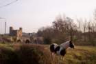 viewoftrimabbey_small.jpg