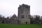 watchtowerandtowerhouseaughnanure_small.jpg