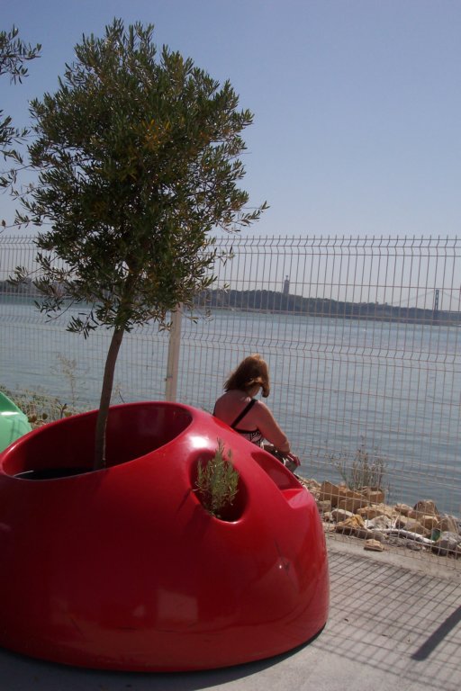 suealongwaterfront.jpg