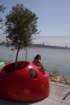 suealongwaterfront_small.jpg